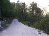 Rifugio Pederü - Col de Lasta